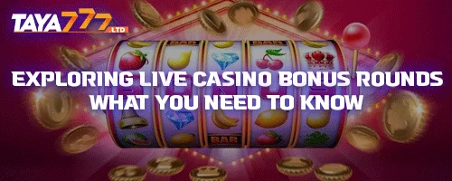 Exploring Live Casino Bonus Rounds: What You Need to Know